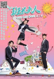 The Big Boss 2 (2017)