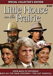 Little House: Bless All the Dear Children (1984)