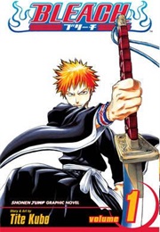 Bleach Volume 1 (Tite Kubo)