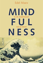 Mindfulness in De Maalstroom Van Je Leven (Edel Maex)