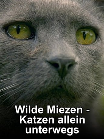 Wilde Miezen - Katzen Allein Unterwegs (2017)