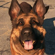 Dogmeat (Fallout 4)