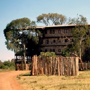 Treetops Hotel Nyeri, Kenya
