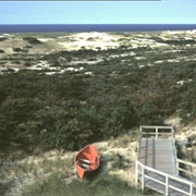 Cape Cod National Seashore