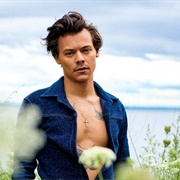 At the Dinning Table - Harry Styles