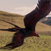 Phoenix (The Chronicles of Narnia)
