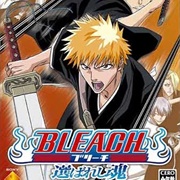 Bleach: Erabareshi Tamashii