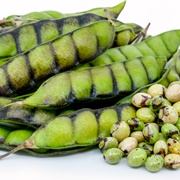 Pigeon Pea