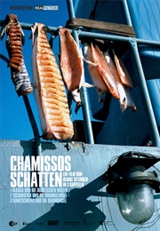 Chamisso's Shadow (2016)