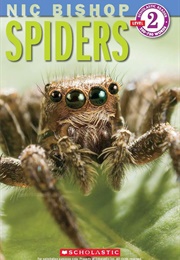 Spiders (Nic Bishop)