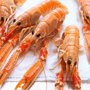 Langostino