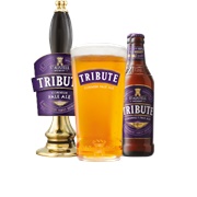 Tribute Ale