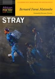 Stray (Bernard Farai Matambo)