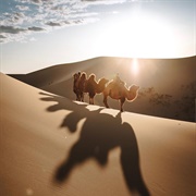 Gobi Desert (Mongolia)