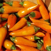 Bulgarian Carrot Pepper