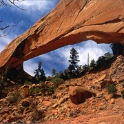 Snake Bridge, New Mexico