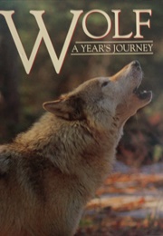 Wolf: A Year's Journey (NA)