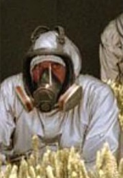 Fields of Gold (2002)