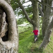 Lisnabreeny, Belfast