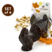 Lake Champlain Flock of Turkeys