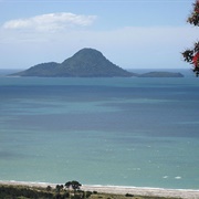 Moutohora Island/ Whale Island