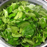 Lá Giang (Aganonerion Polymorphum)