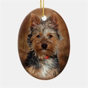 Australian Silky Terrier Ornament