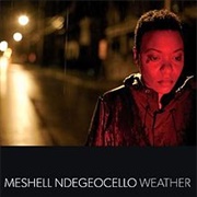 Meshell Ndegeocello - Weather