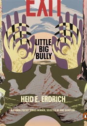 Little Big Bully (Erdrich)