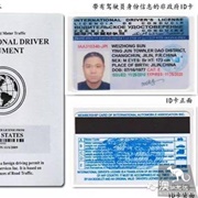International Driver&#39;s License