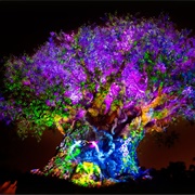 Tree of Life Awakening