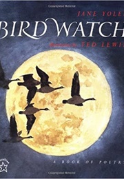 Bird Watch (Jane Yolen)