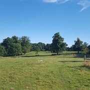 Morven Park, Potters Bar