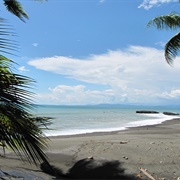 Fauna Silvestre Ostional Refuge, Costa Rica