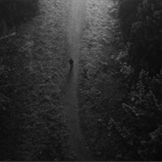 Exile-Taylor Swift (Feat. Bon Iver)