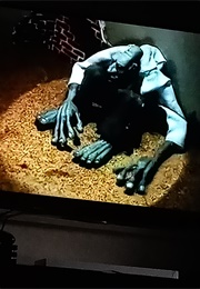 Imagenes Mentales De Un Hombre Perdiendo La Razon (Fabregat) (2004)