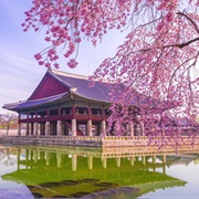 Gyeongbokgung Palace