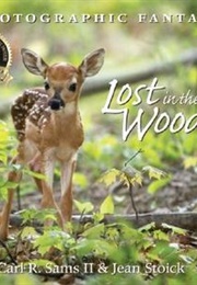 Lost in the Woods (Sams II, Carl R.)