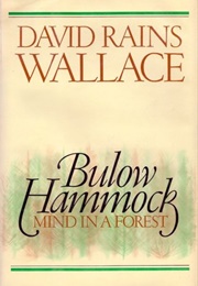 Bulow Hammock: Mind in a Forest (David Rains Wallace)