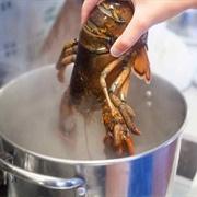 Seawater Boiled Lobster (Nova Scotia)