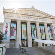 Go to the Shedd Aquarium