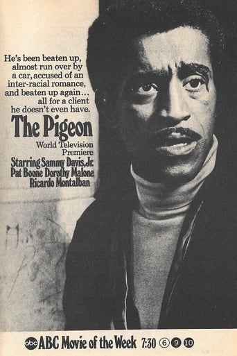 The Pigeon (1969)
