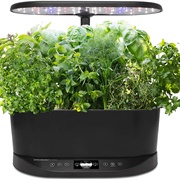 Aerogarden Bounty Basic Indoor Hydroponic Herb Garden, Black