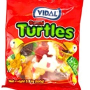 Vidal Turtles