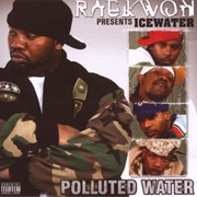 Raekwon - Polluted Water