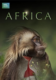 Africa (2013)