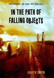 In the Path of Falling Objects (Andrew Smith)