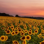 Middleton, Wisconsin