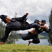 Pencak Silat