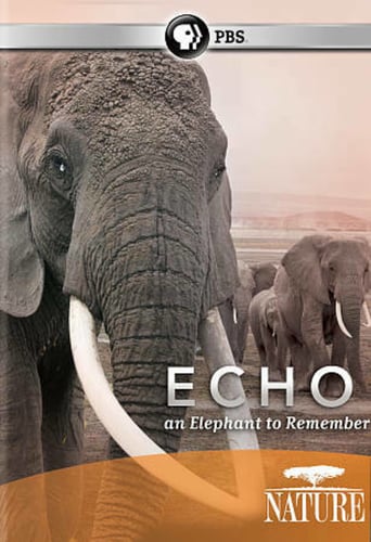 Nature: Echo an Elephant to Remember (2010)